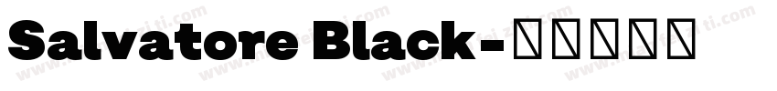 Salvatore Black字体转换